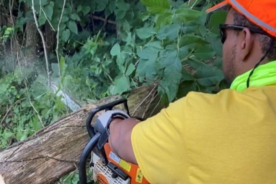 man sawing log with chainsaw